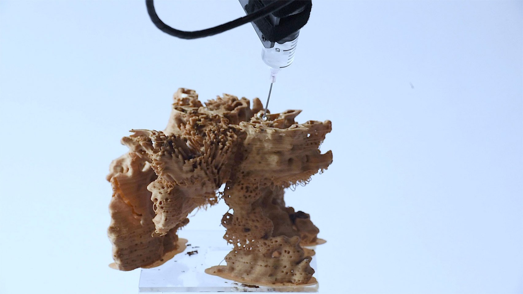 biolab-studio-develops-3d-printed-bio-scaffold-for-growing-mycelium-1 BioLab Studio develops 3D-printed 'bio scaffold' for growing mycelium