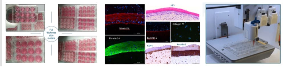 safeskin3d-advanced-3d-bioprinted-models-for-mrna-vaccine-testing-1 SAFESKIN3D: Advanced 3D Bioprinted Models for mRNA Vaccine Testing