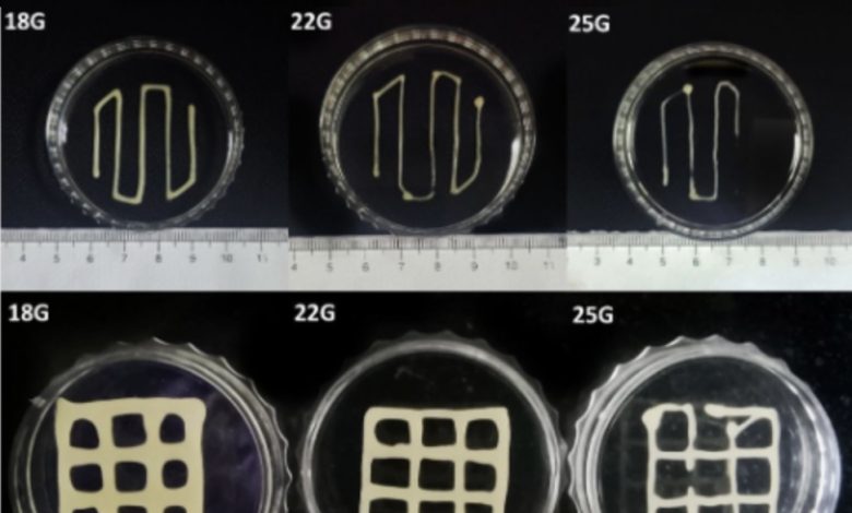 researchers-3d-print-lung-tissue-with-mucus-based-bioink Researchers 3D Print Lung Tissue With Mucus-Based Bioink