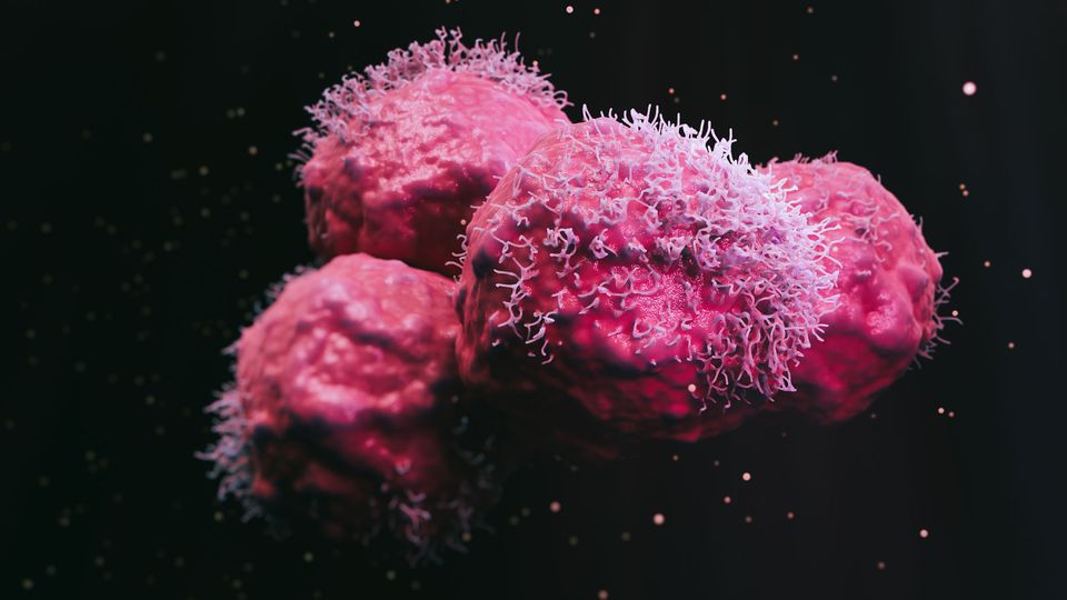 researchers-3d-print-tumors-to-advance-cancer-immunotherapy-2 Researchers 3D Print Tumors to Advance Cancer Immunotherapy