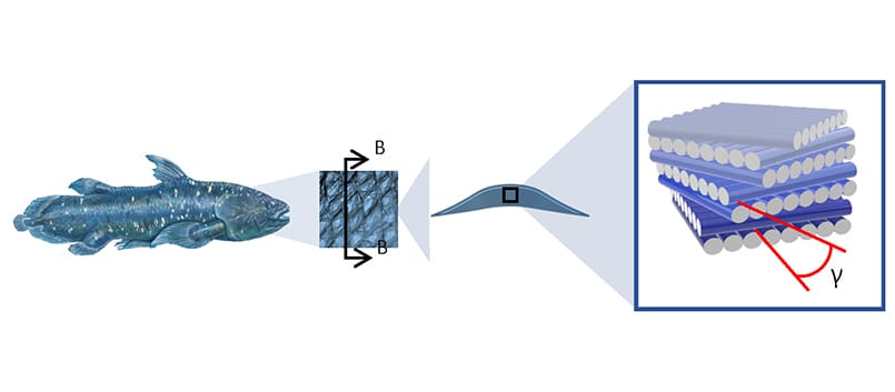 researchers-improve-crack-resistance-in-3dcp-components-1 Researchers Improve Crack Resistance in 3DCP Components